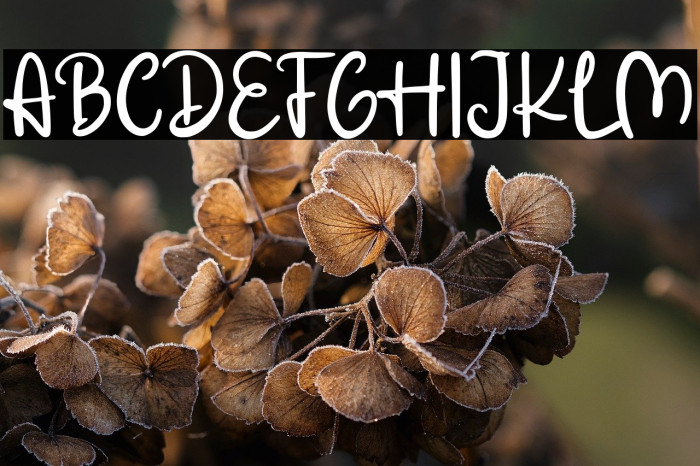 Oceanic Cocktail Demo Example 3