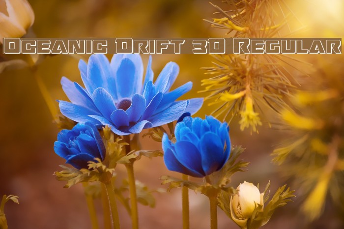 Oceanic Drift 3D Regular Font examples