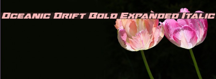 Oceanic Drift Bold Expanded Italic Font examples