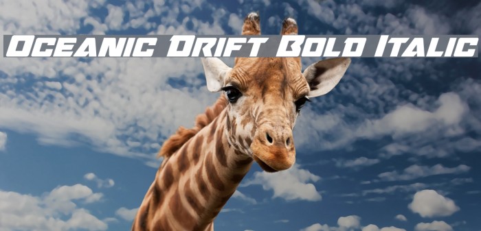 Oceanic Drift Bold Italic Example 3