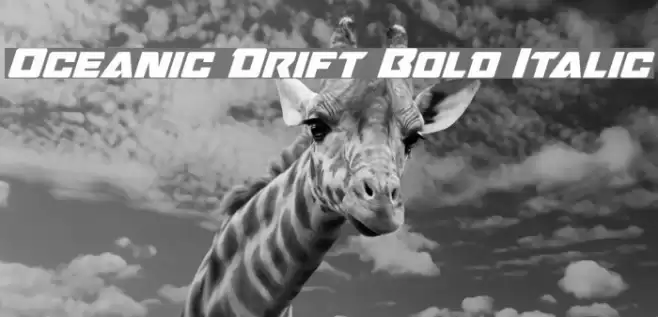 Oceanic Drift Bold Italic Font examples
