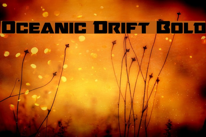 Oceanic Drift Bold Font examples