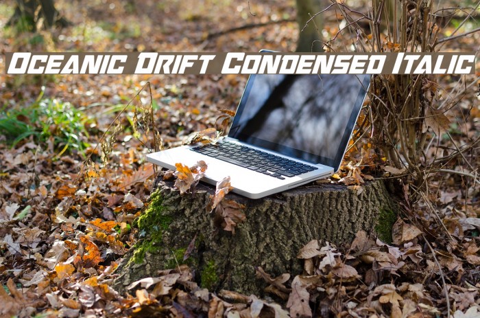 Oceanic Drift Condensed Italic Font examples