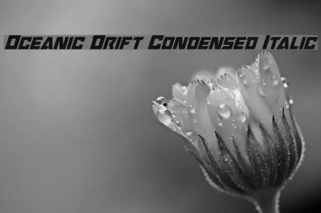 Oceanic Drift Condensed Italic Font examples