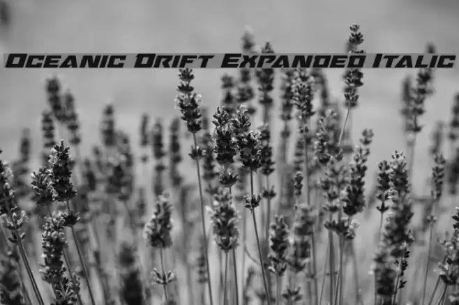 Oceanic Drift Expanded Italic Font examples