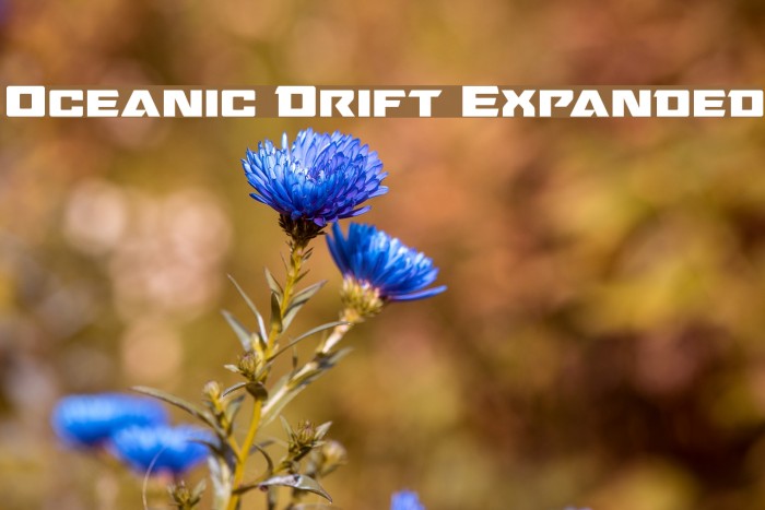 Oceanic Drift Expanded Font examples