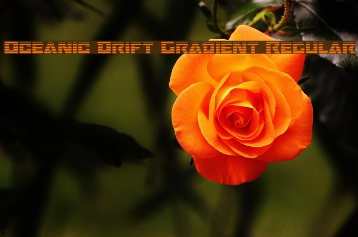 Oceanic Drift Gradient Regular Font examples