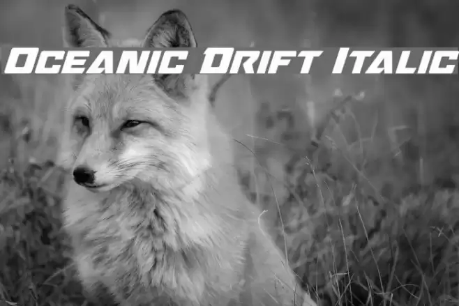 Oceanic Drift Italic Font examples