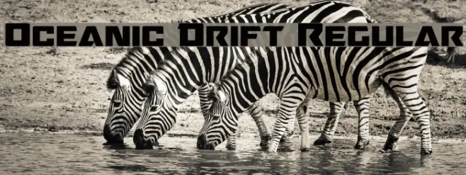 Oceanic Drift Regular Example 3
