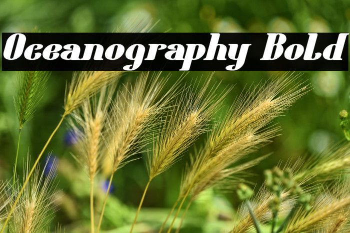 Oceanography Bold Example 3