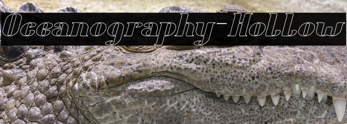Oceanography-Hollow Example 2