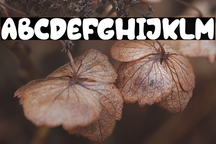 Oceans World Example 3