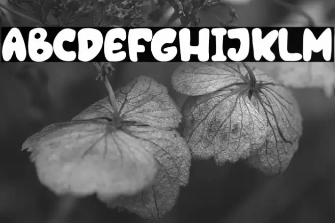 Oceans World Polices examples