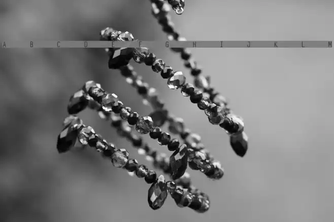 Ocelot Monowidth Polices examples