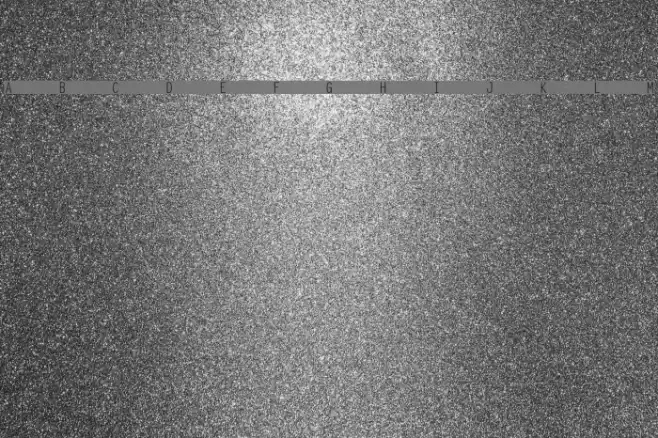 Ocelot Monowidth Polices examples