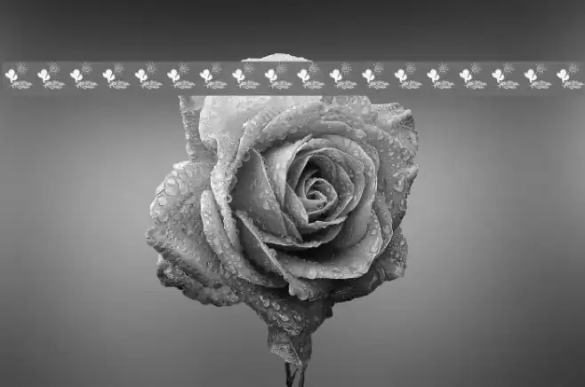 Ochent Silibrina 3 Font examples