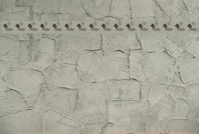 Ochent Silibrina Example 2