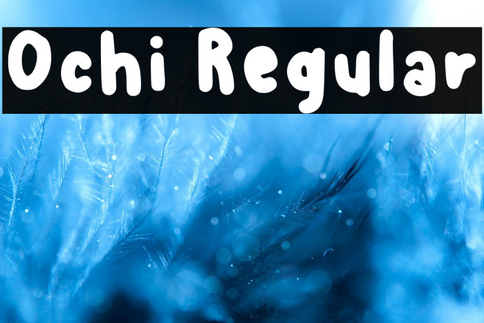 Ochi Regular Example 2