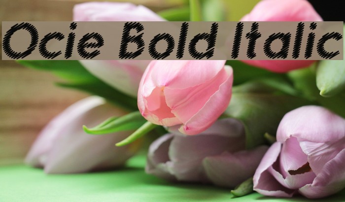 Ocie Bold Italic Шрифта examples