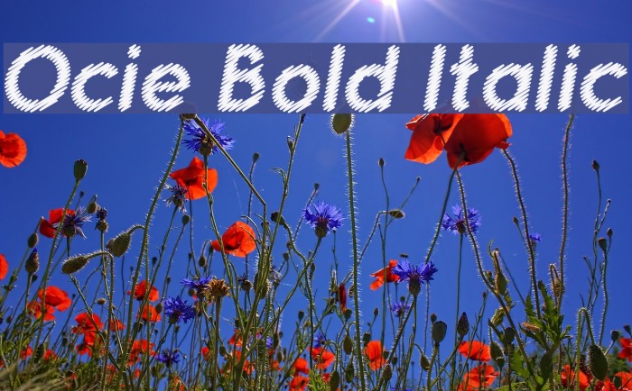 Ocie Bold Italic Шрифта examples