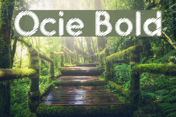 Ocie Bold Font examples