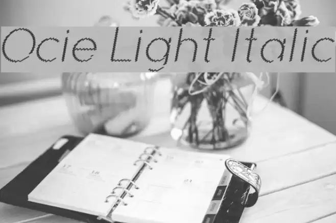 Ocie Light Italic Font examples