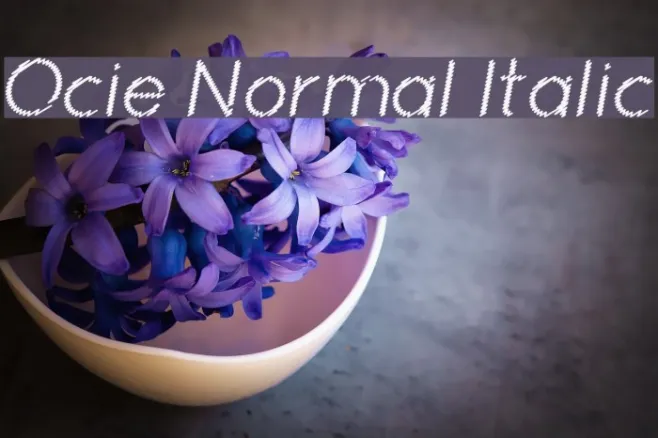 Ocie Normal Italic Example 1
