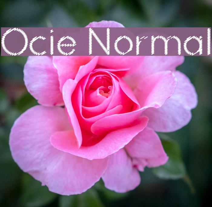 Ocie Normal Font examples