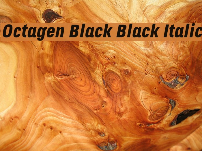 Octagen Black Black Italic Font examples