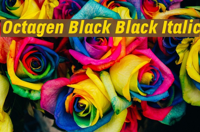 Octagen Black Black Italic Font examples