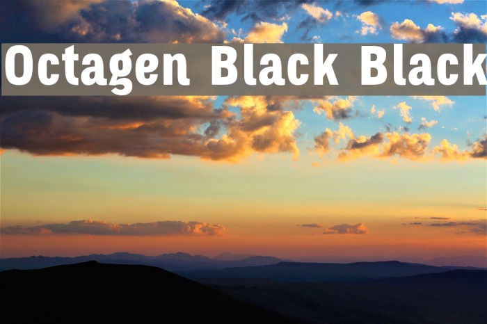 Octagen Black Black Font examples