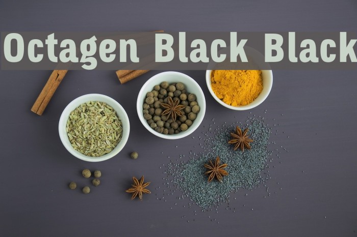 Octagen Black Black Font examples