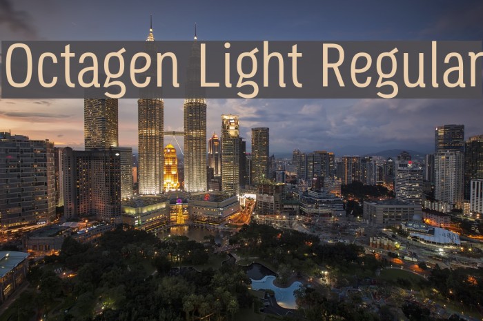 Octagen Light Regular Font examples