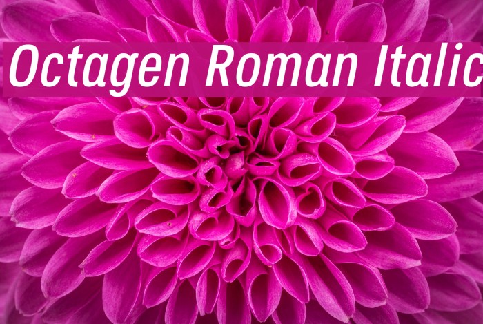 Octagen Roman Italic Font examples