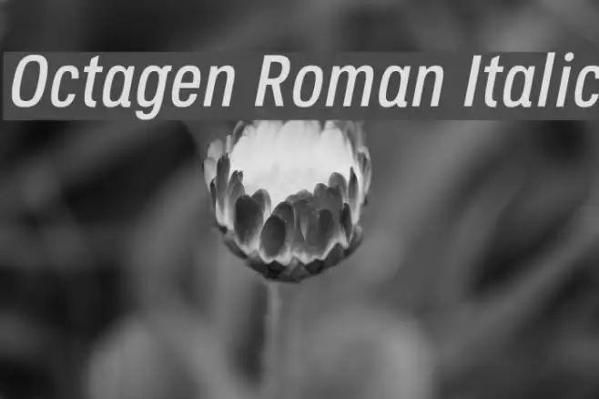 Octagen Roman Italic Font examples