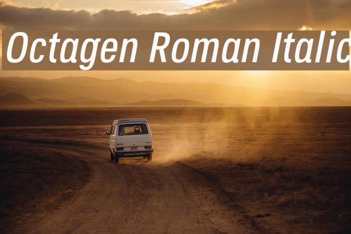 Octagen Roman Italic Font examples