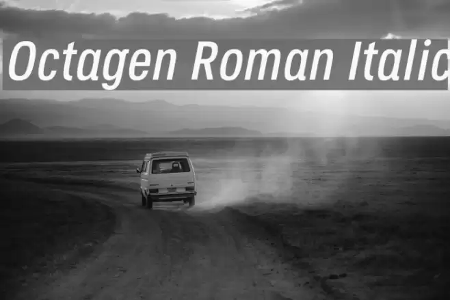 Octagen Roman Italic Font examples