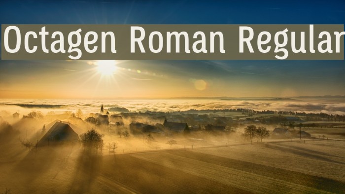 Octagen Roman Regular Font examples