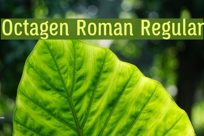Octagen Roman Regular Font examples