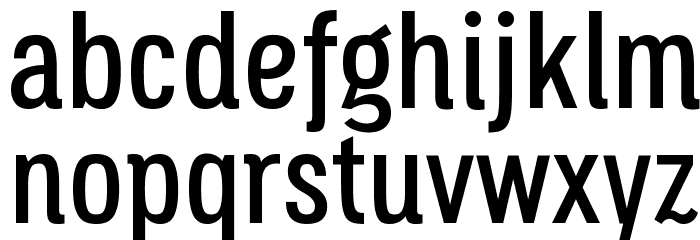 Octagen Roman Regular Font LOWERCASE