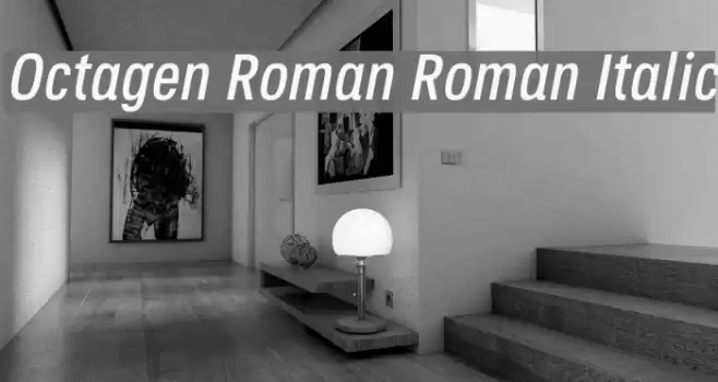 Octagen Roman Roman Italic Font examples