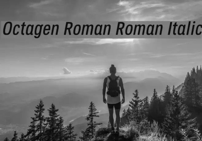 Octagen Roman Roman Italic Font examples