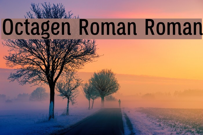 Octagen Roman Roman Font examples