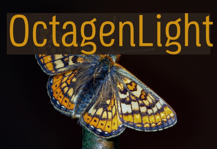 OctagenLight Font examples