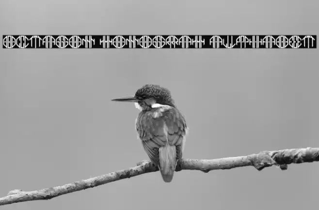 Octagon Monogram Alphabet Fuentes examples