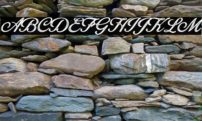 Octagon Personal Use Regular Example 1