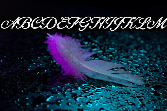 Octagon Personal Use Regular Example 2