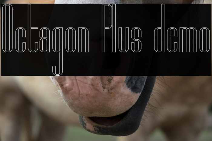 Octagon Plus demo Example 3