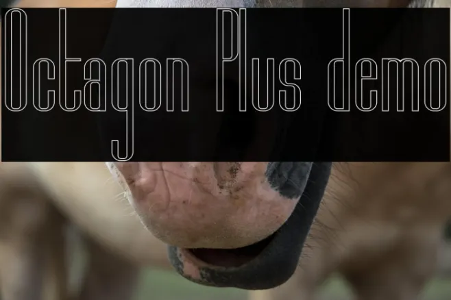 Octagon Plus demo Example 3