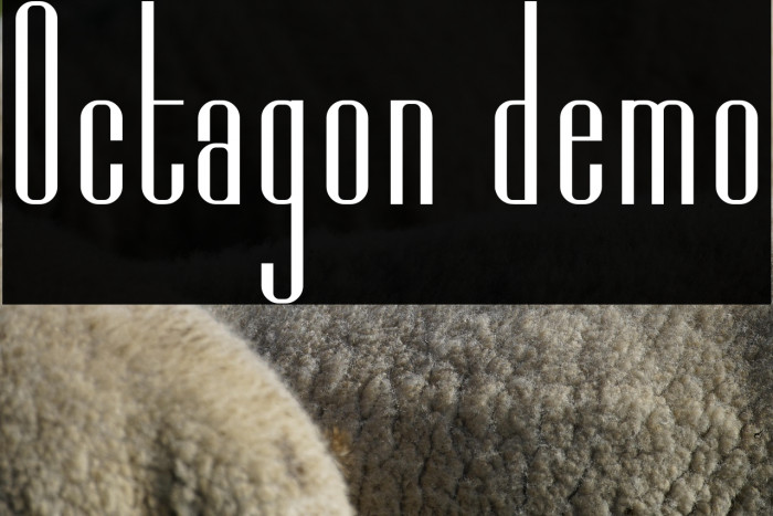 Octagon demo Example 1